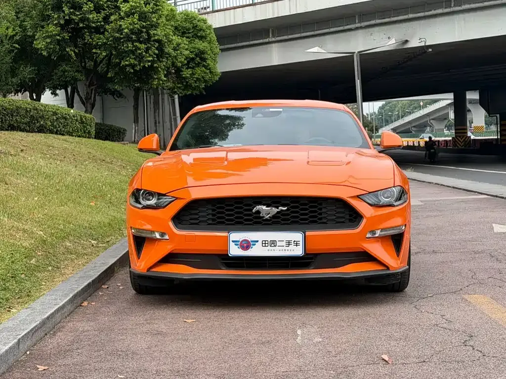 Ford Mustang — фото 2