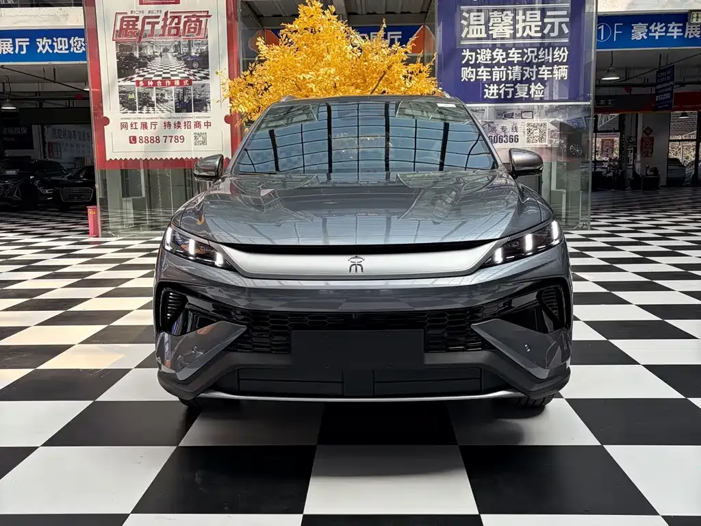 BYD Pro New Energy — фото 6