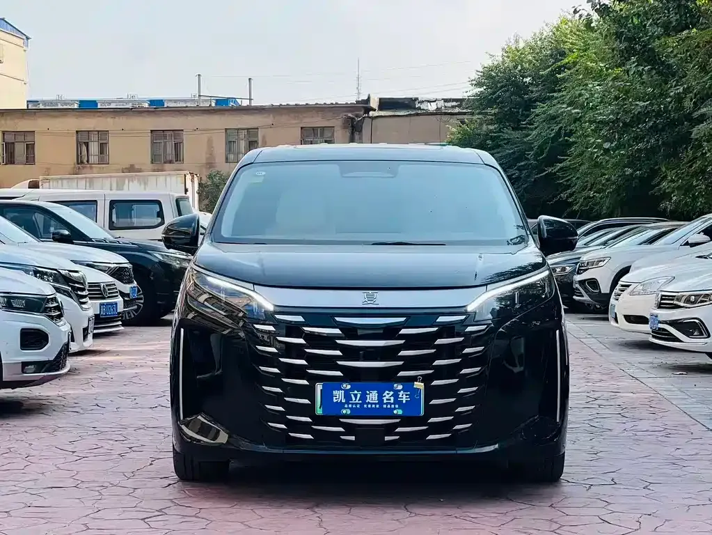 BYD Xia — фото 10