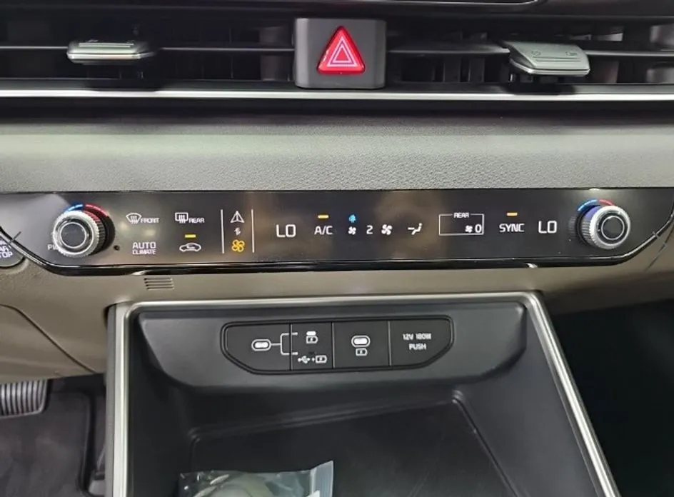 Kia Carnival — фото 10