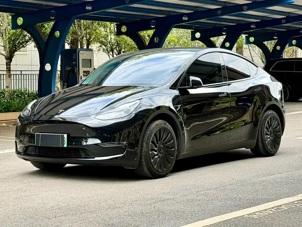 Tesla Model Y — фото 1