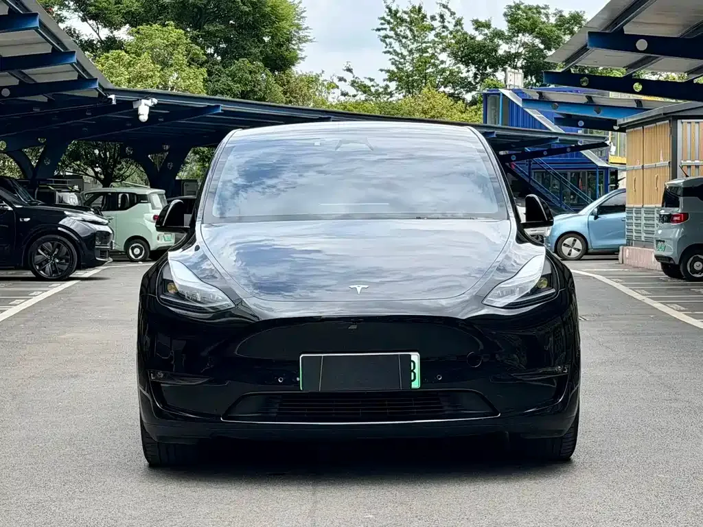 Tesla Model Y — фото 5
