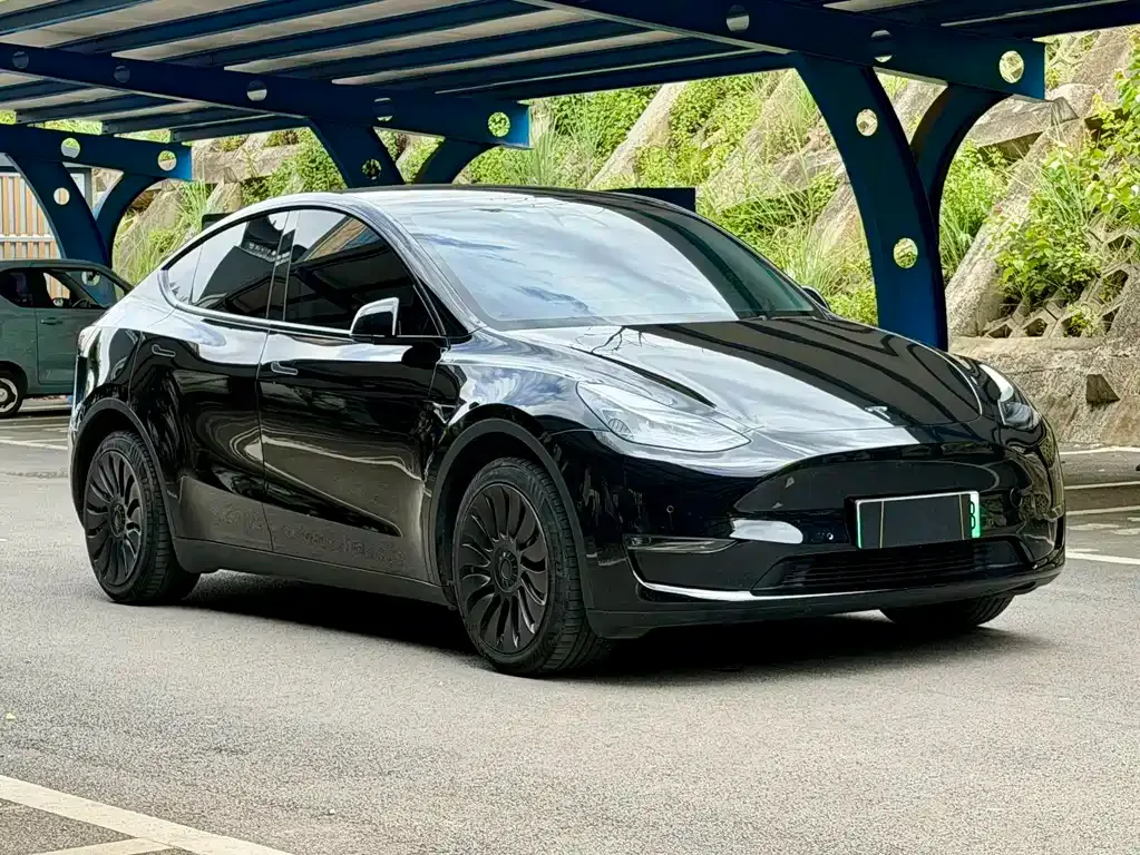 Tesla Model Y — фото 10