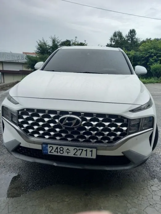Hyundai Santafe — фото 5