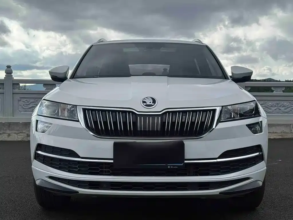 Skoda Karoq — фото 4