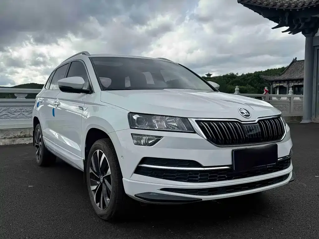 Skoda Karoq — фото 3