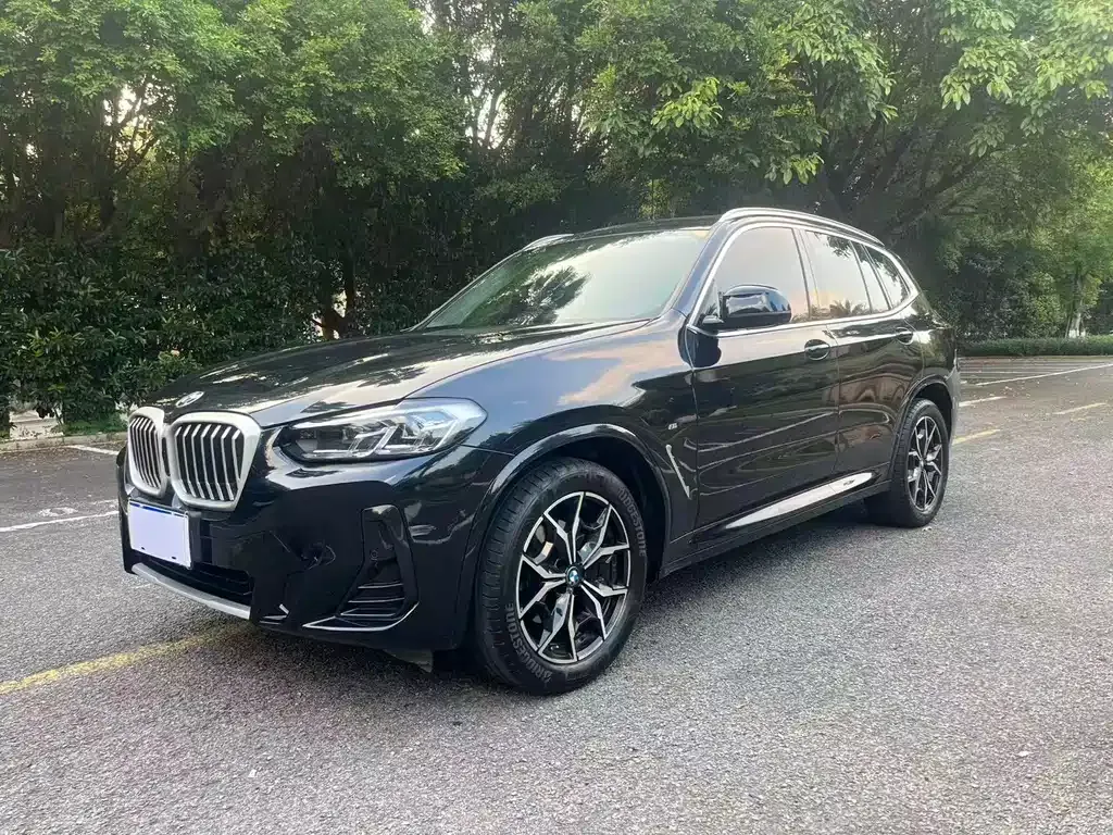 BMW X3 — фото 1