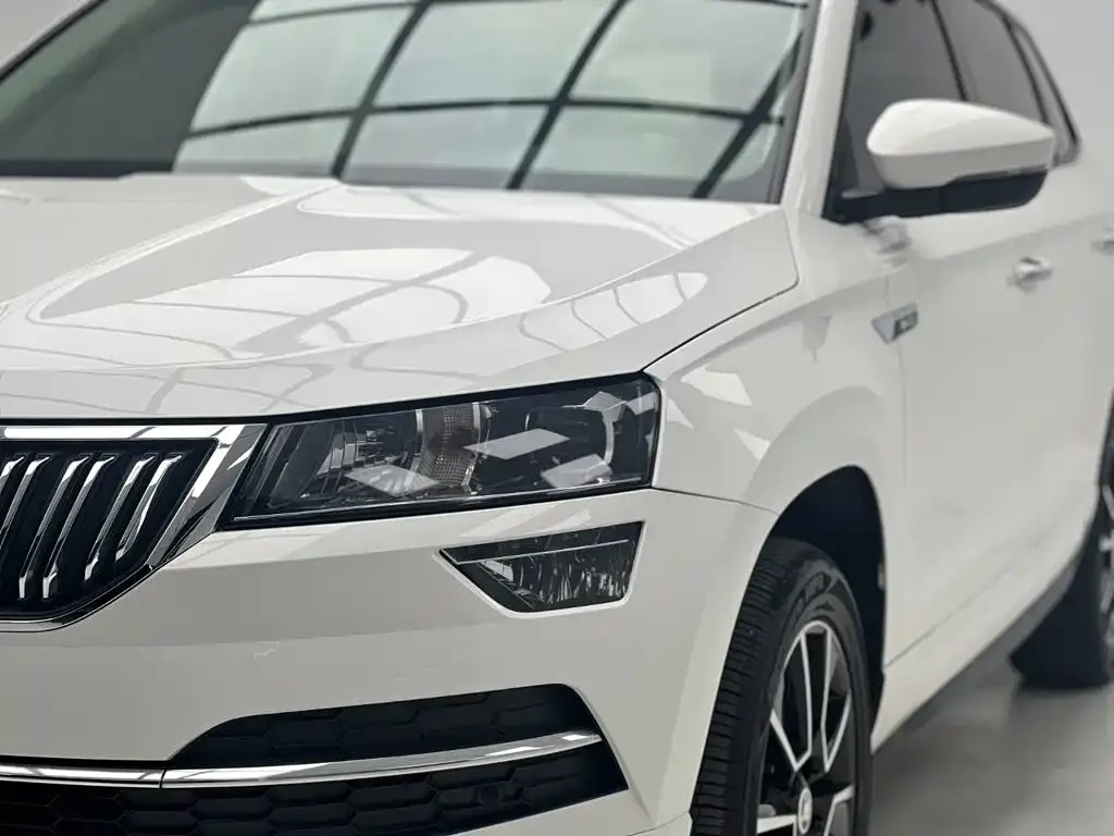 Skoda Karoq — фото 8