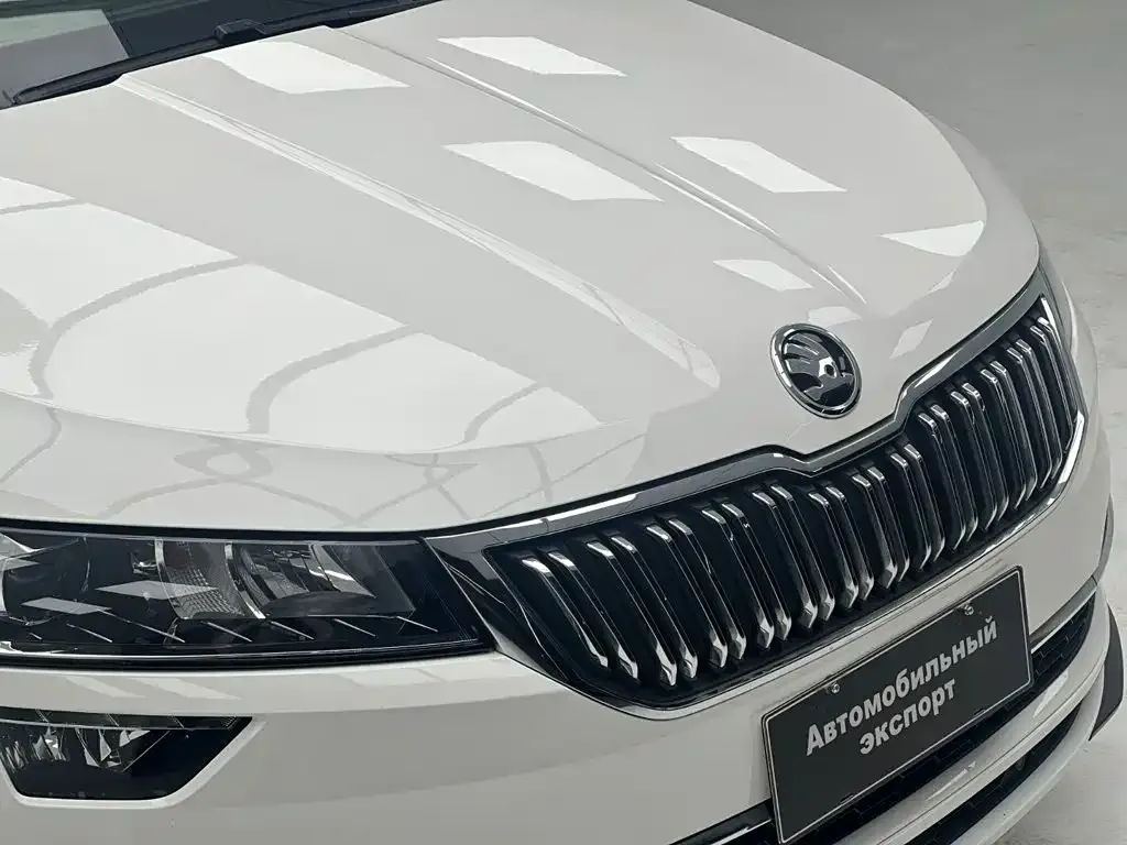 Skoda Karoq — фото 10