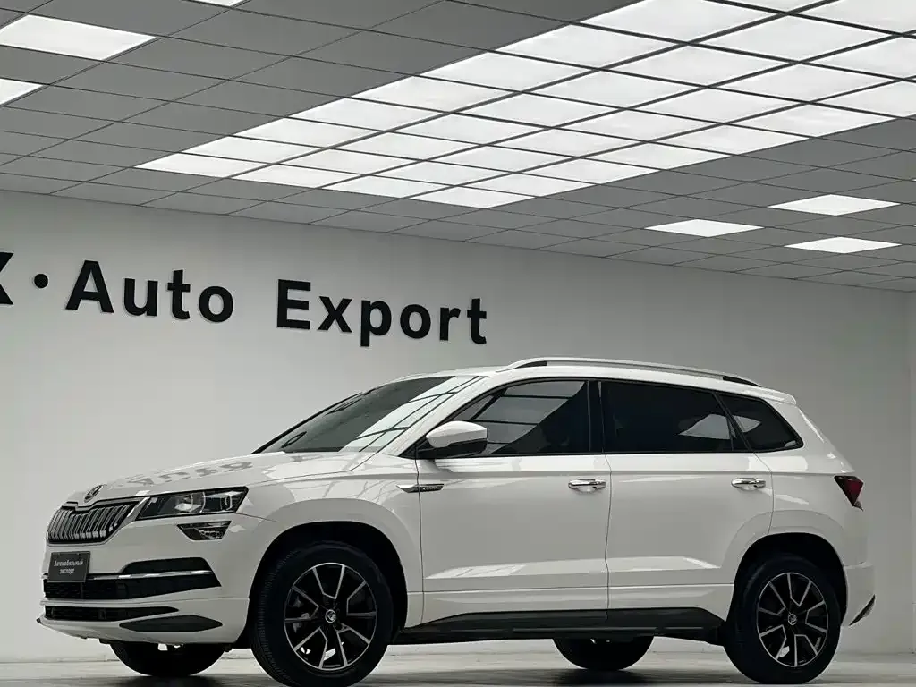 Skoda Karoq — фото 4