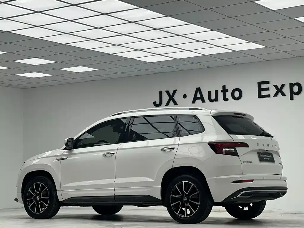 Skoda Karoq — фото 6