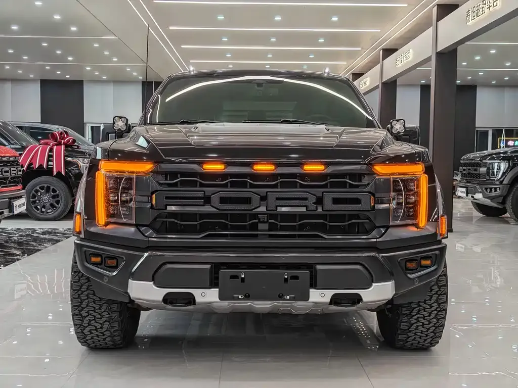 Ford F-150 Raptor — фото 6