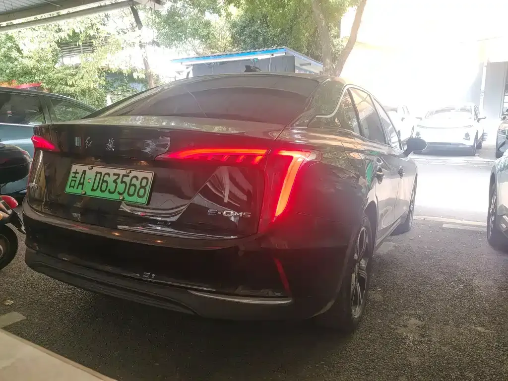 Hongqi E-QM5 — фото 10