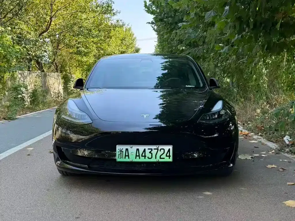 Tesla Model 3 — фото 8