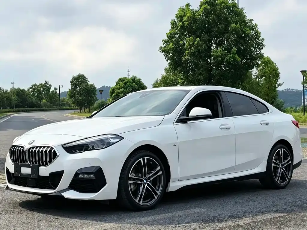 BMW 2 Series (Import) — фото 1