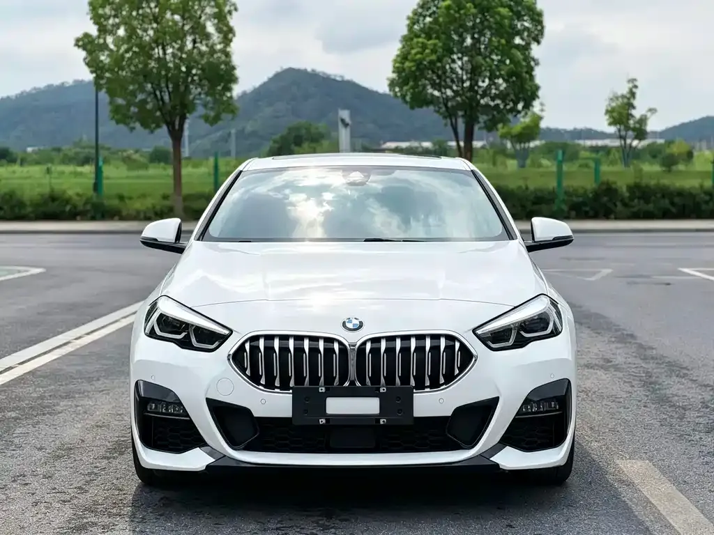 BMW 2 Series (Import) — фото 10