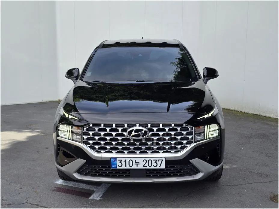 Hyundai Santafe — фото 8