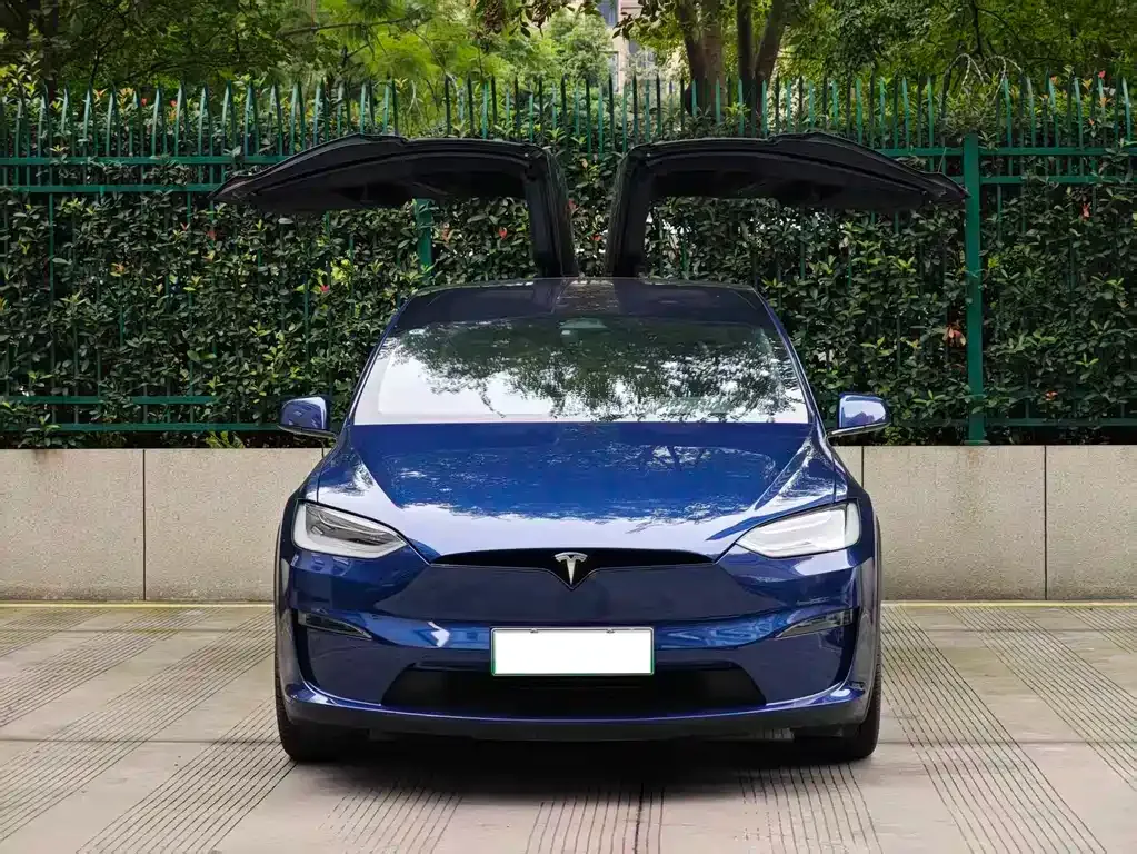 Tesla Model X — фото 10