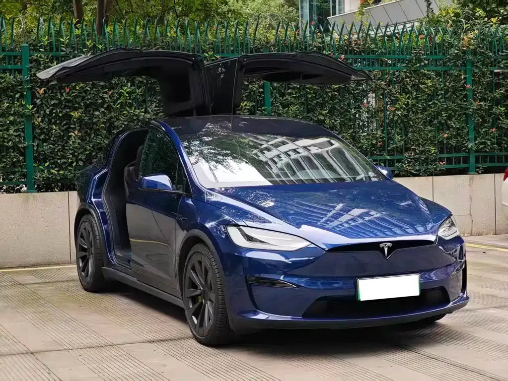 Tesla Model X — фото 9
