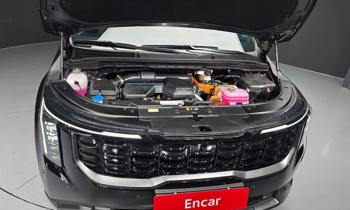Kia Carnival — фото 10