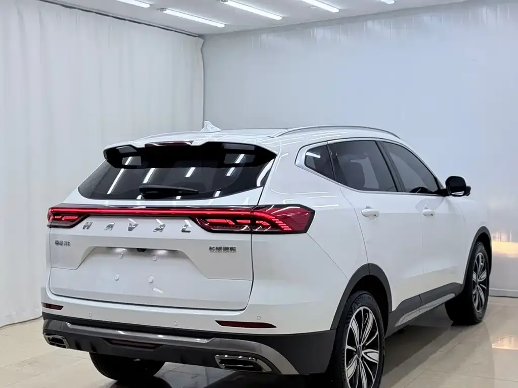 Haval H6 — фото 8