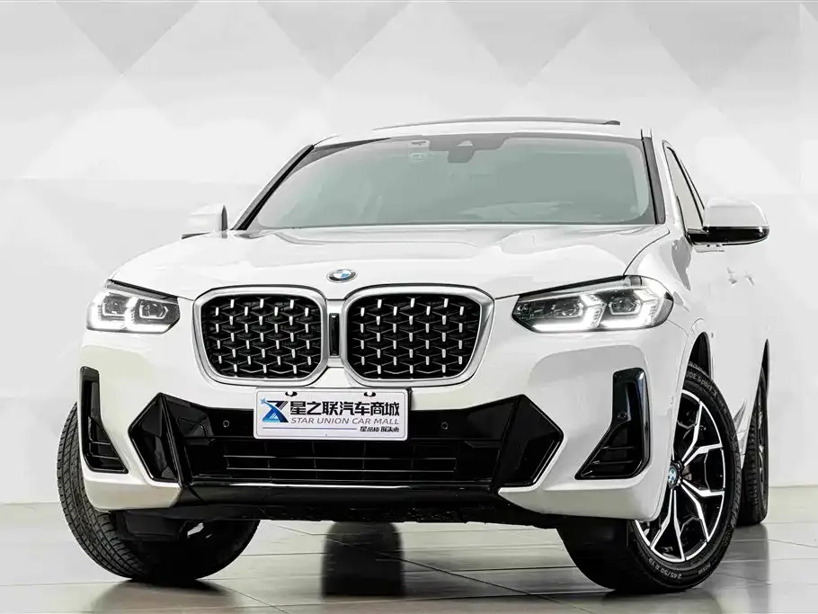 BMW X4 — фото 8