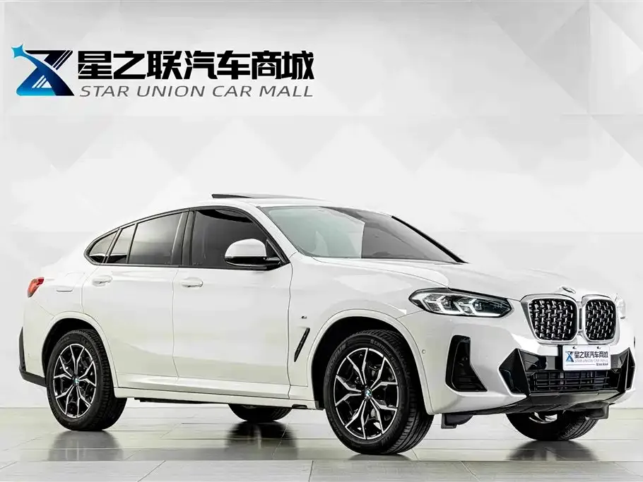 BMW X4 — фото 9