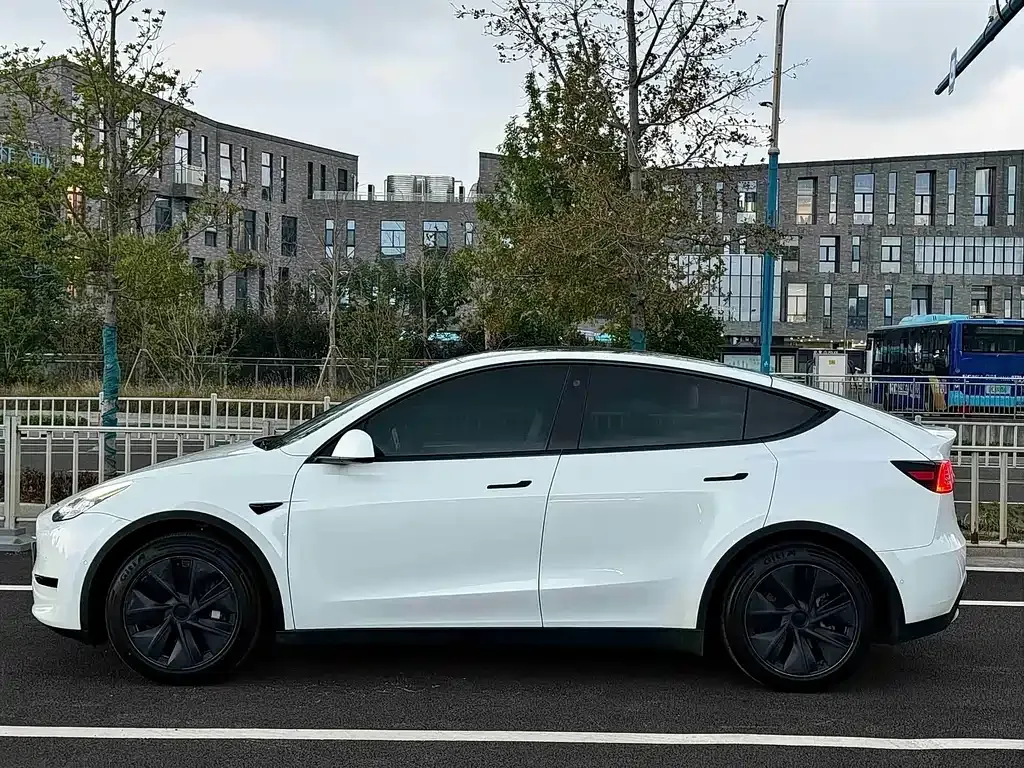 Tesla Model Y — фото 9