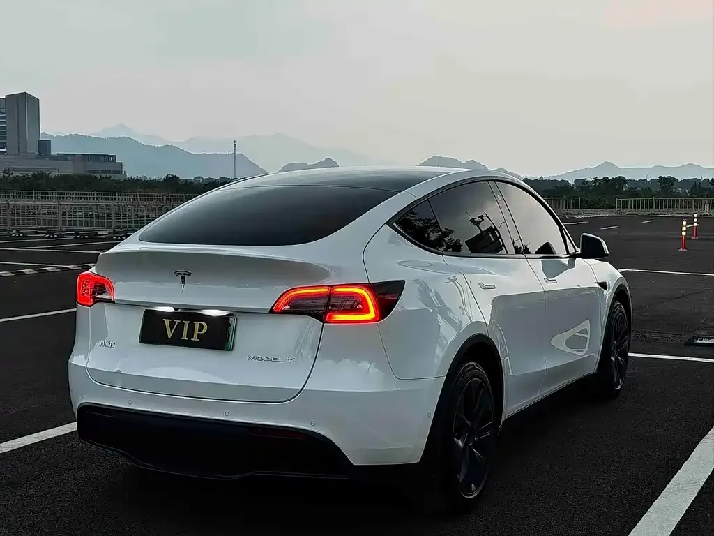 Tesla Model Y — фото 4
