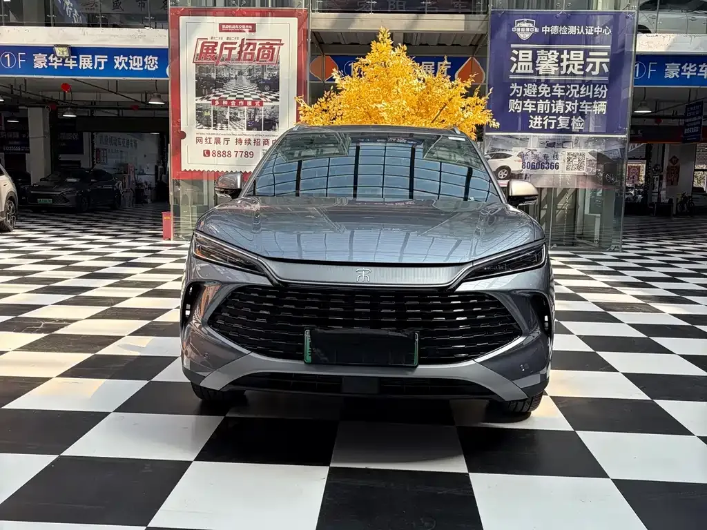BYD L DM-i — фото 9