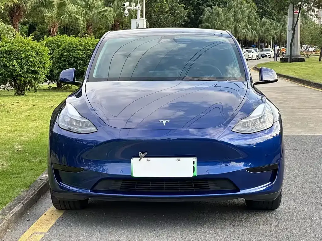 Tesla Model Y — фото 1