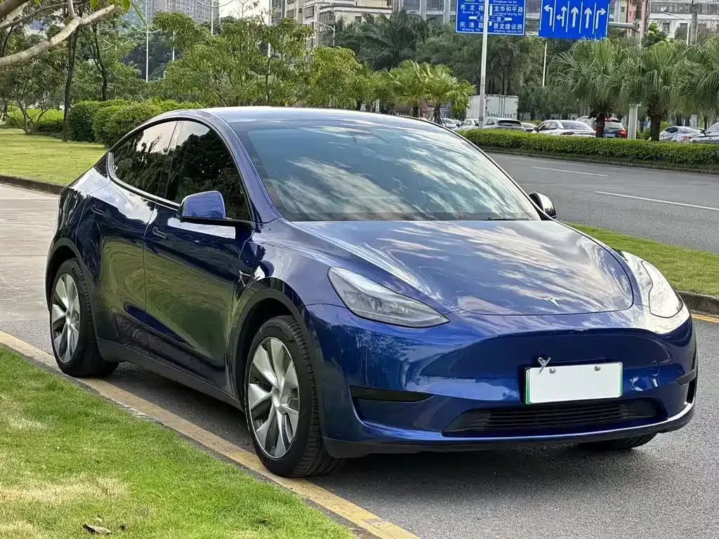 Tesla Model Y — фото 8