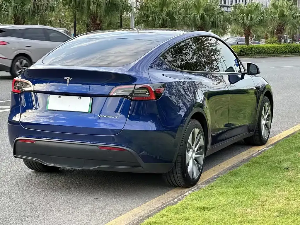 Tesla Model Y — фото 9