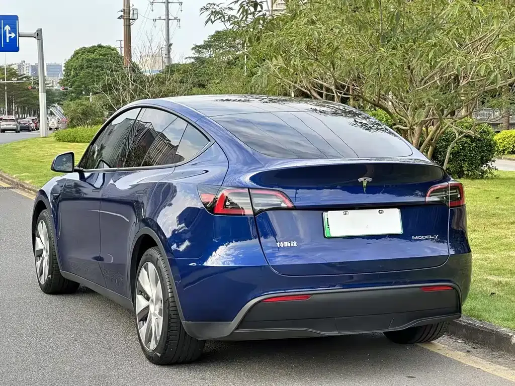 Tesla Model Y — фото 5
