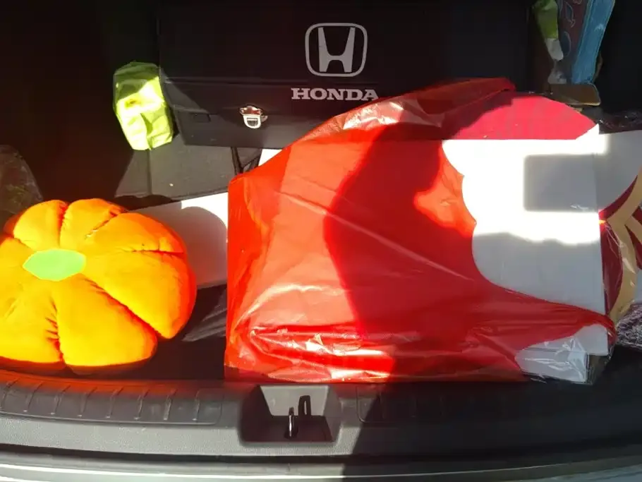 Honda Civic — фото 8