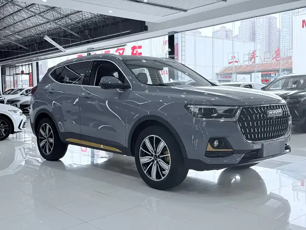 Haval H6 — фото 8