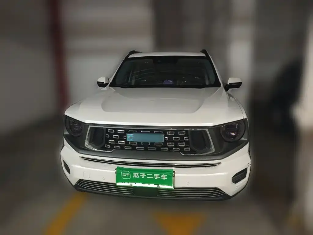 Haval Big Dog PLUS New Energy — фото 1