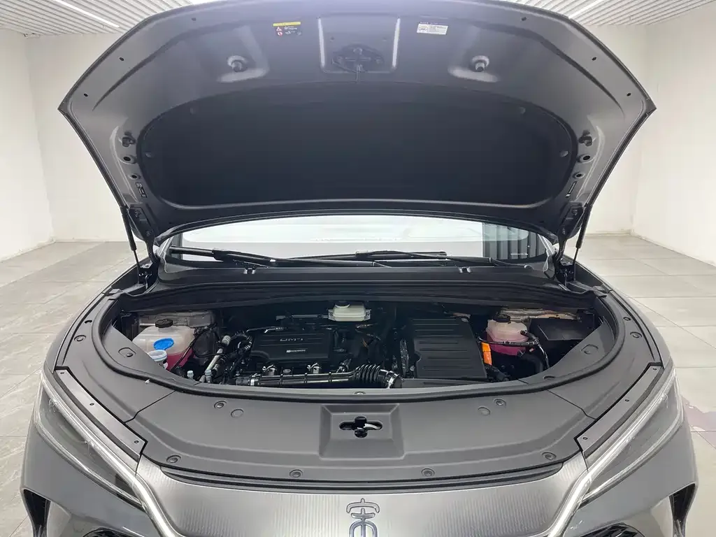 BYD L DM-i — фото 2