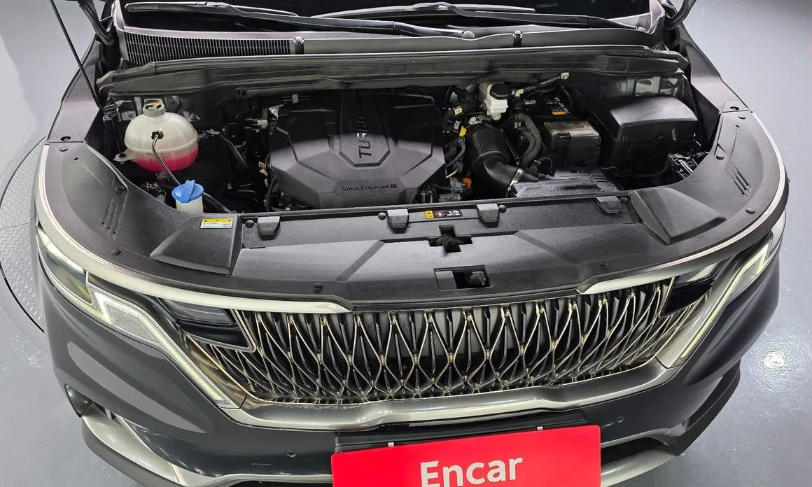 Kia Carnival — фото 10