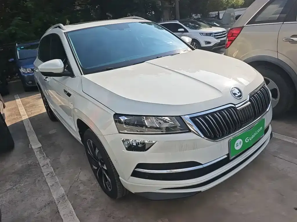 Skoda Karoq — фото 7