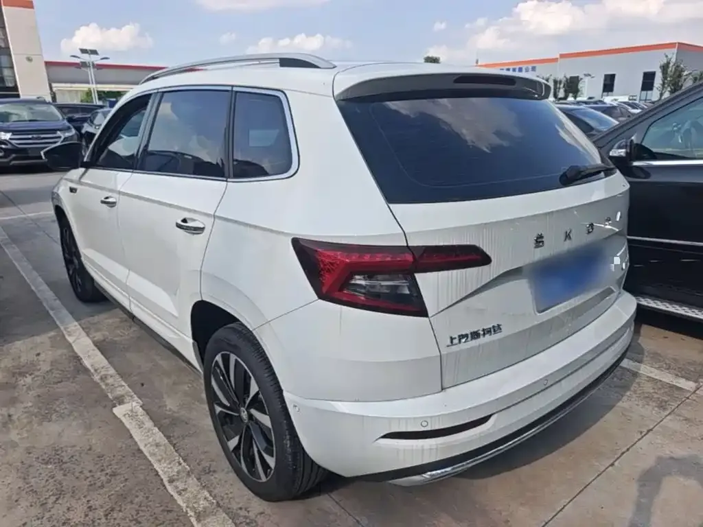Skoda Karoq — фото 6