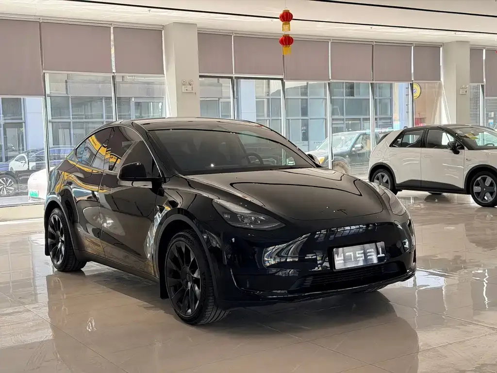 Tesla Model Y — фото 2