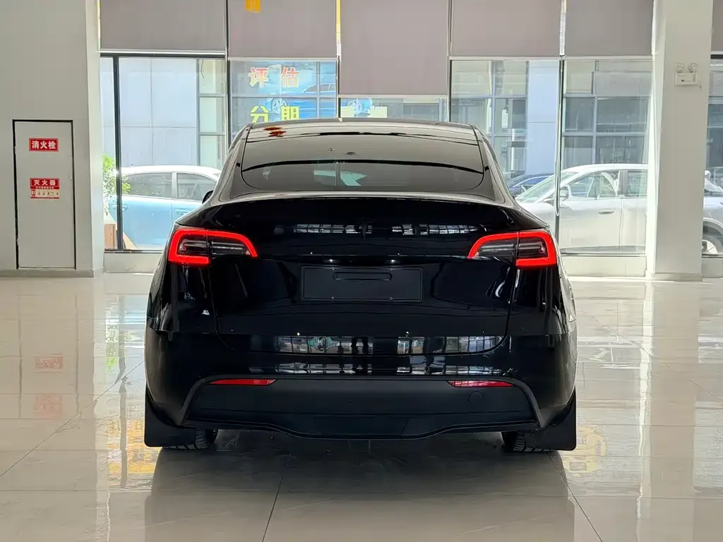 Tesla Model Y — фото 5
