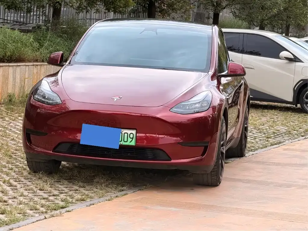 Tesla Model Y — фото 1