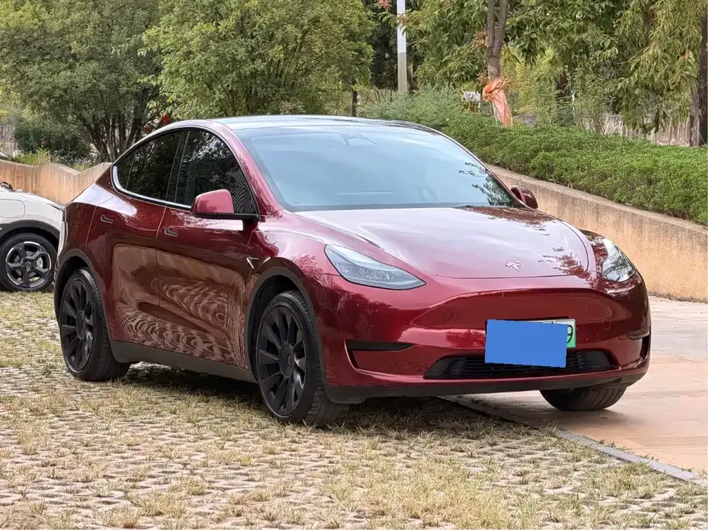 Tesla Model Y — фото 7