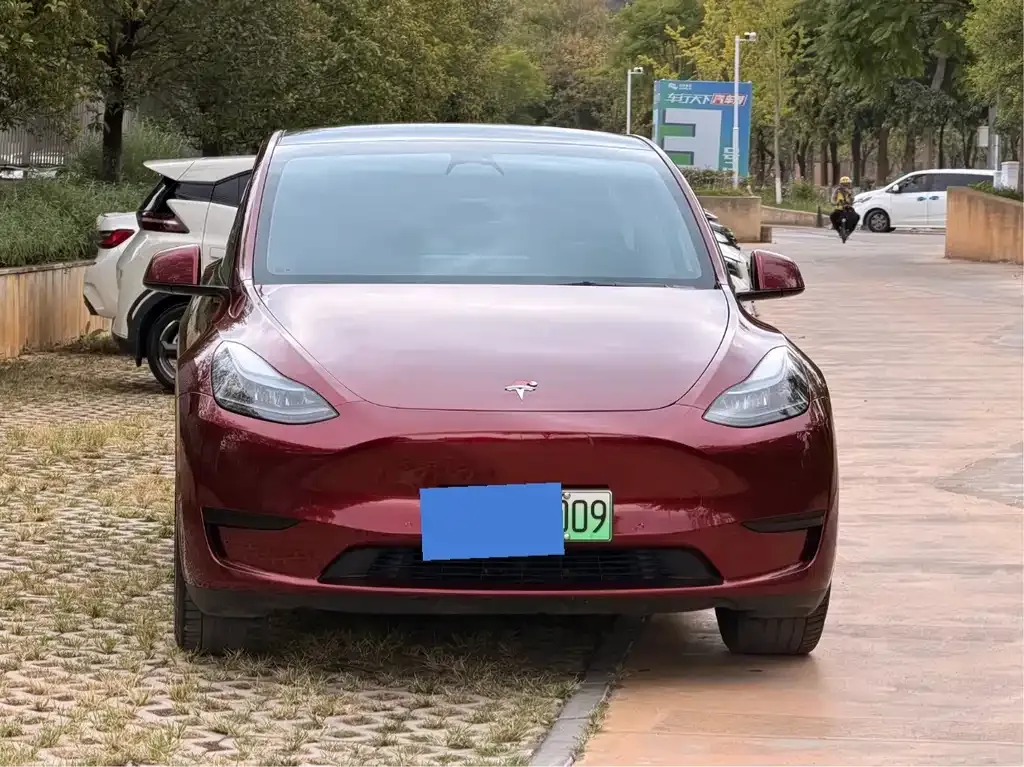Tesla Model Y — фото 8