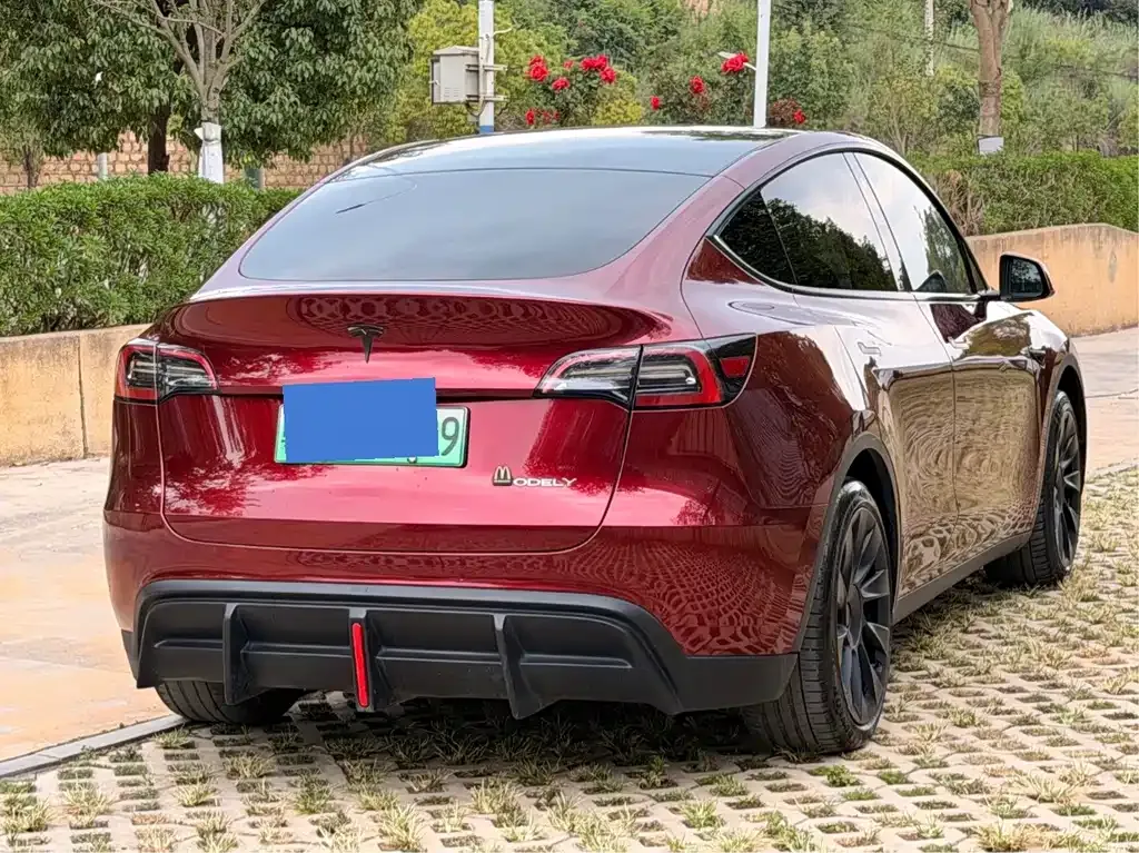 Tesla Model Y — фото 10