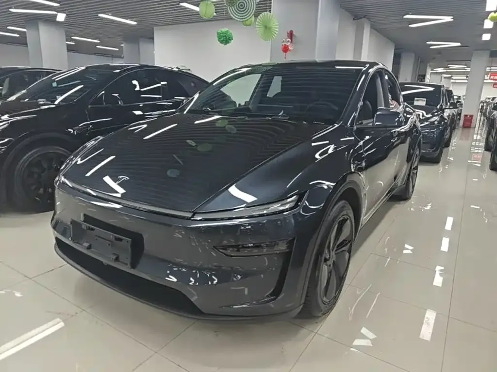 Tesla Model Y — фото 10