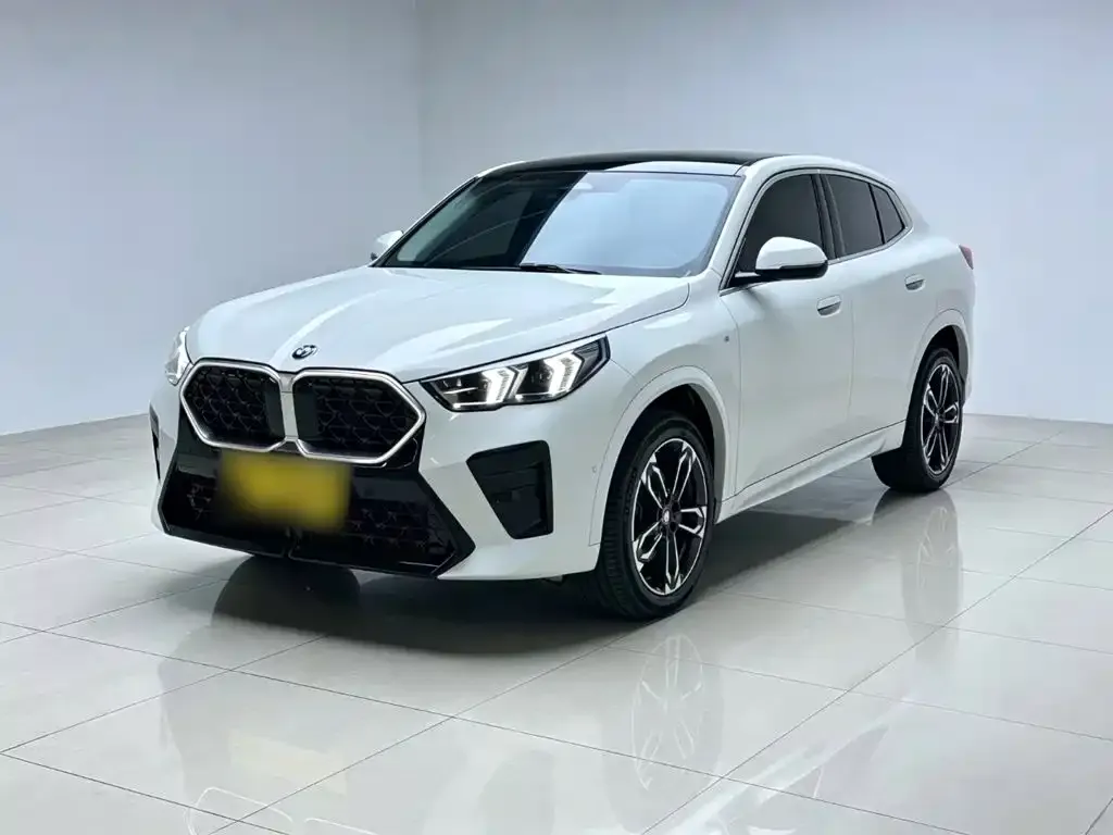 BMW X2 (Import) — фото 1