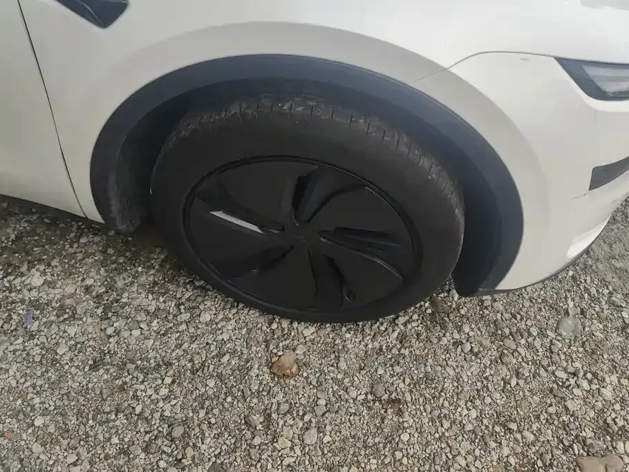 Tesla Model Y — фото 10